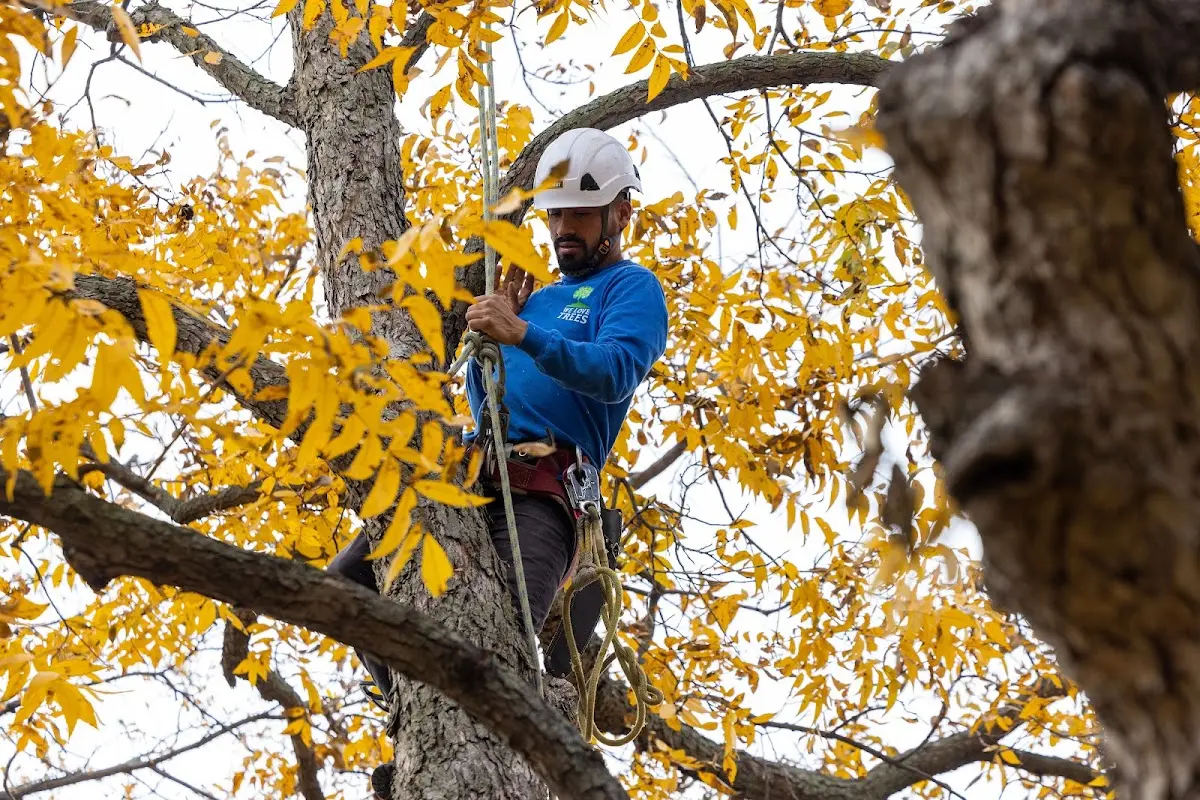 Skilled Storm Damage Cleanup crew working in Baldwin